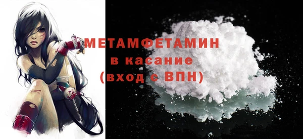 индика Козельск