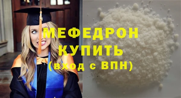 индика Козельск