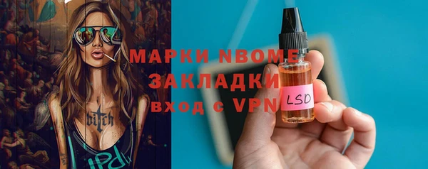 индика Козельск
