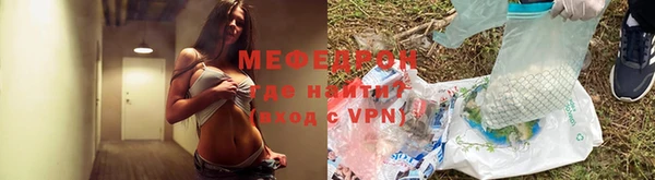 индика Козельск