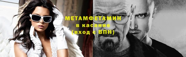 индика Козельск