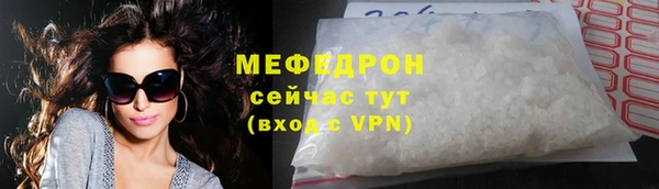индика Козельск