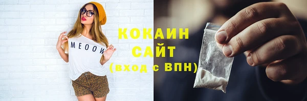 индика Козельск