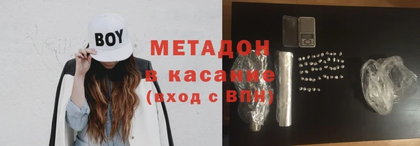 индика Козельск