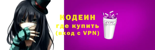 индика Козельск