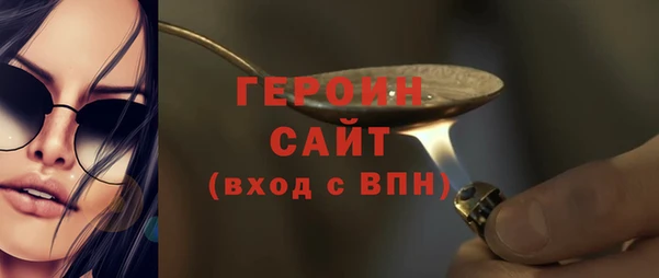 индика Козельск