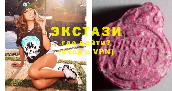 индика Козельск