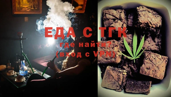 индика Козельск