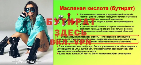 индика Козельск