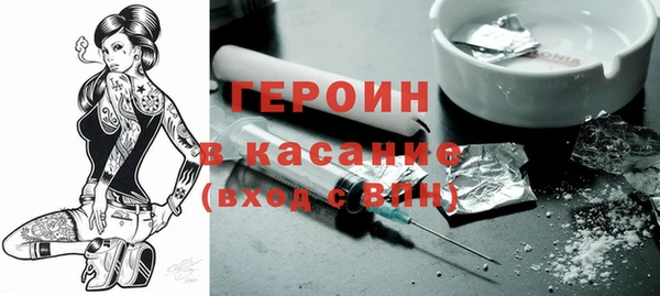 индика Козельск