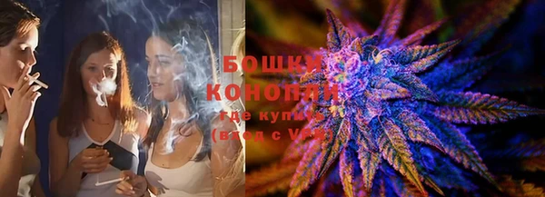 индика Козельск