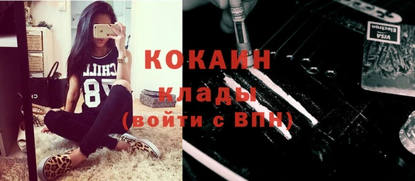 индика Козельск