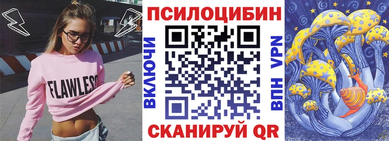 Купить  Сафоново  Псилоцибиновые грибы Psilocybe 
